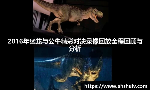 2016年猛龙与公牛精彩对决录像回放全程回顾与分析