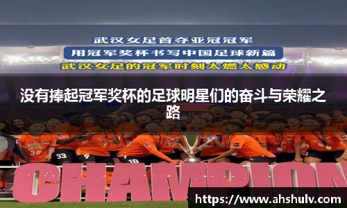 没有捧起冠军奖杯的足球明星们的奋斗与荣耀之路